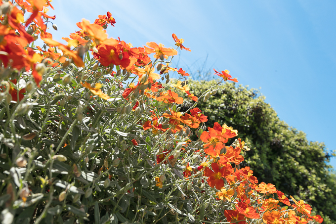 Kennedy Park Jun 2018 (030)